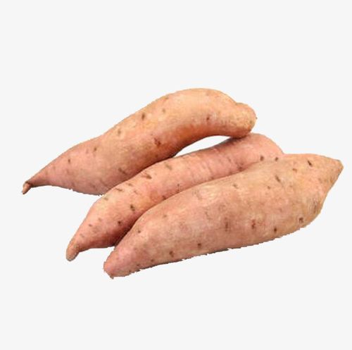 产品实物  蔬菜 红薯